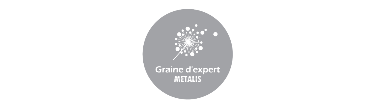 Graine d'experts Metalis